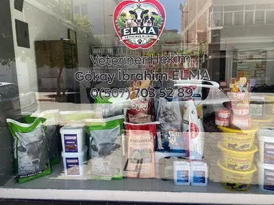 ELMA VETERİNER KLİNİĞİ