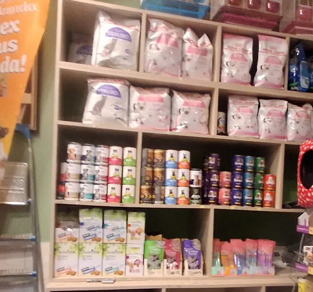 SHOW Pet Shop foto 2