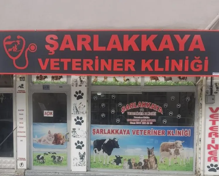 Akşehir Şarlakkaya veteriner kliniği foto 1