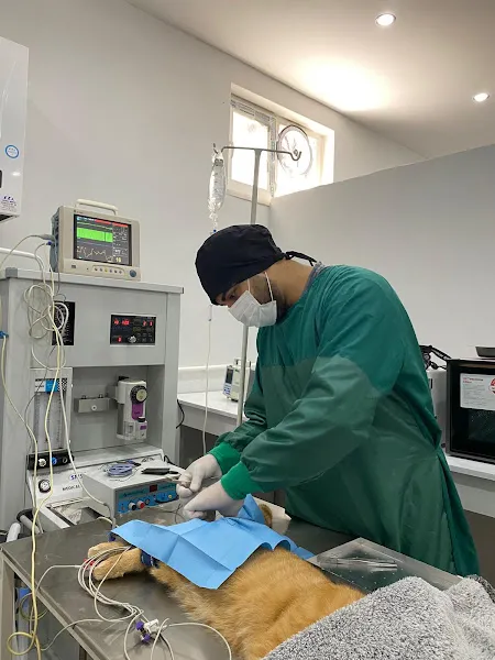 Akşehir Şarlakkaya veteriner kliniği foto 2