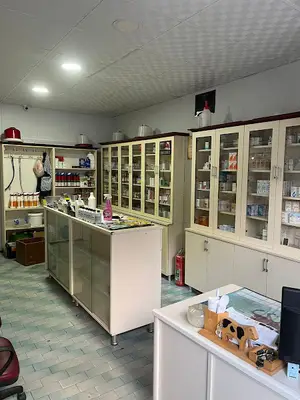 Harşit vadisi veteriner kliniği