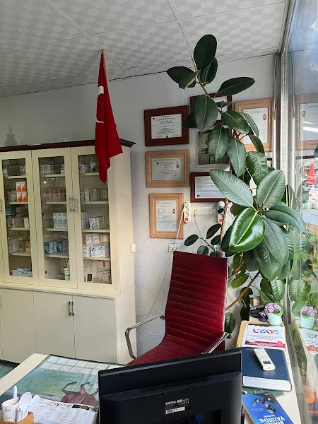 Harşit vadisi veteriner kliniği foto 2