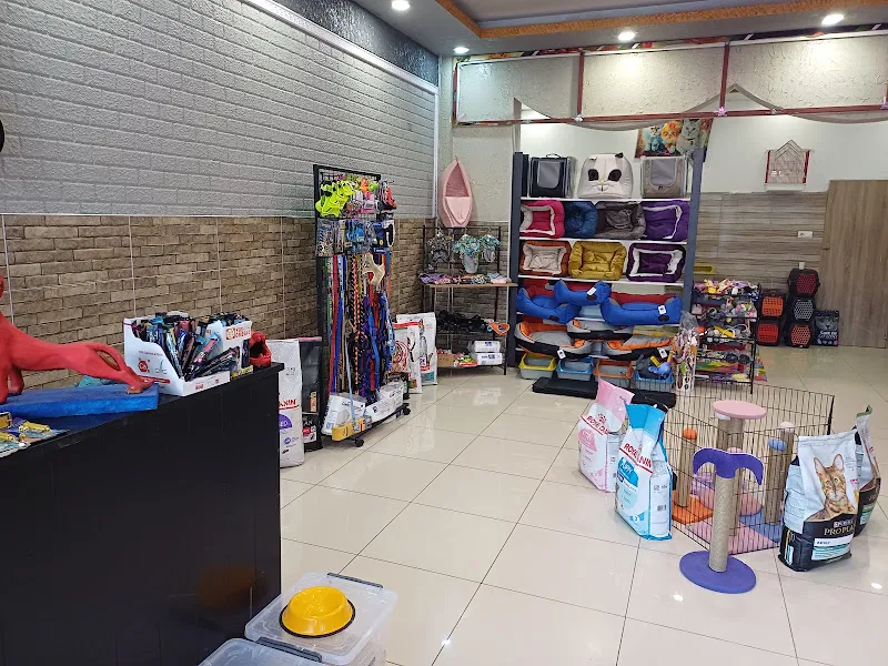 AREN PETSHOP PET KUAFÖR foto 1