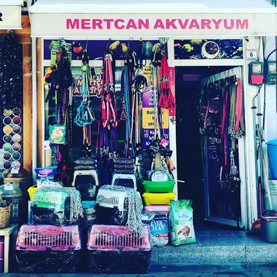 Mertcan Akvaryum