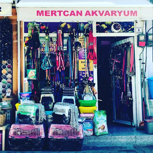 Mertcan Akvaryum foto 1