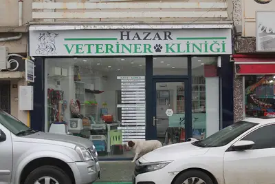 HAZAR Veteriner Kliniği