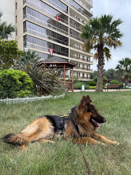 Pet life veteriner klinigi foto 2