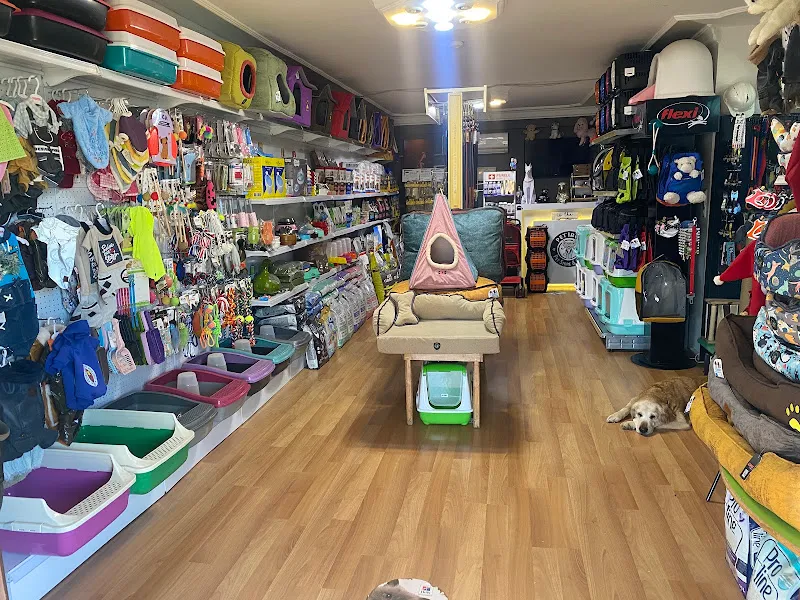Petibör Pet Shop ve Kafe (Mersin) foto 2
