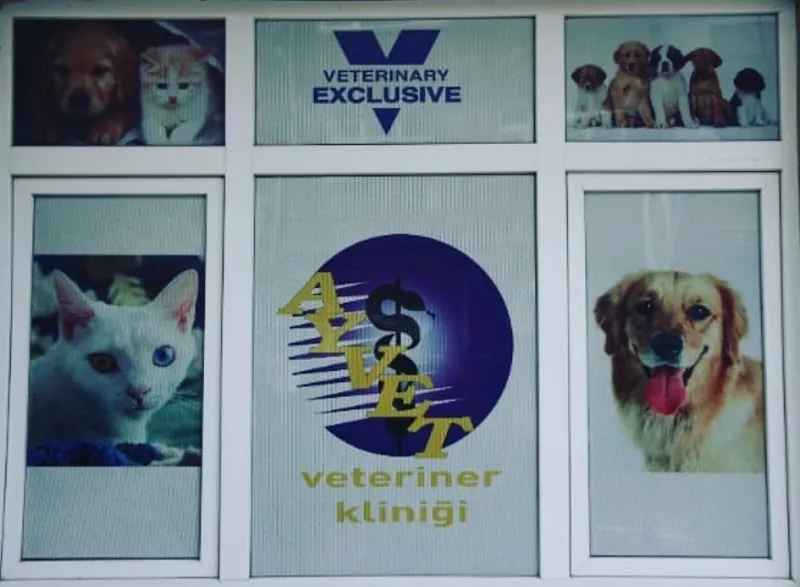 Ayvet Veteriner Kliniği foto 2