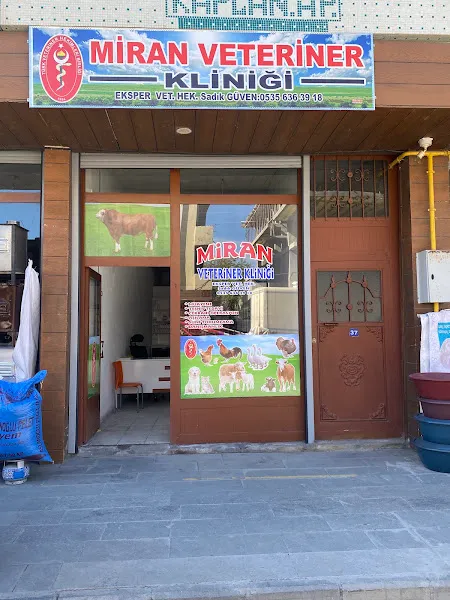 Miran veteriner Kliniği foto 1