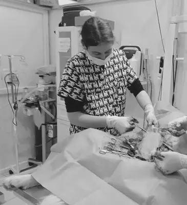 Petinyum Veteriner Kliniği