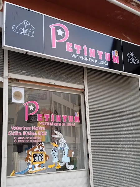 Petinyum Veteriner Kliniği foto 2
