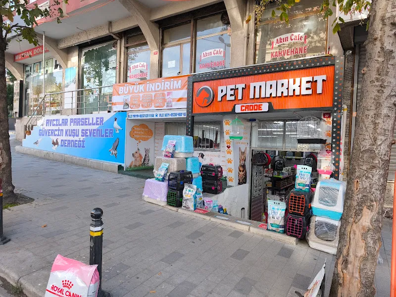 Cadde Petshop foto 1