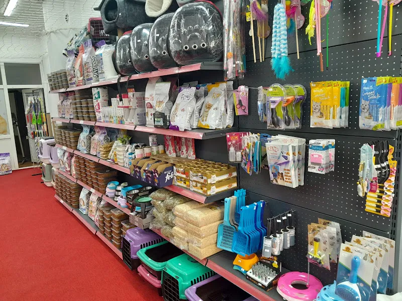 Cadde Petshop foto 2