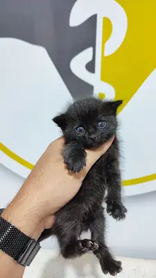 Düzce Park Veteriner Kliniği