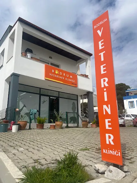 Bodrum Veteriner Kliniği foto 1