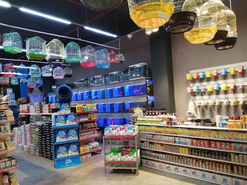 Dost Petshop foto 2