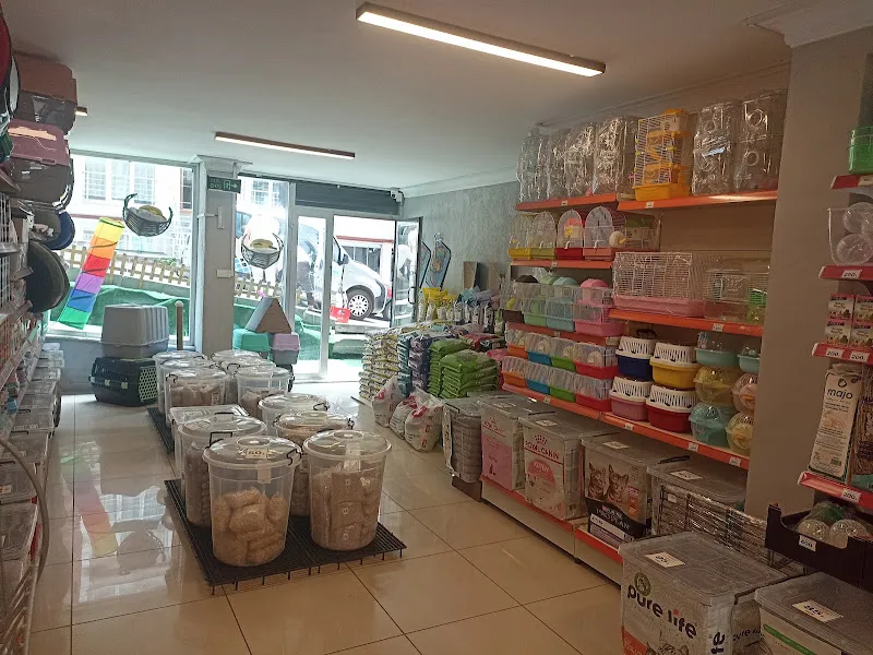 Kaplumbağa Petshop foto 2