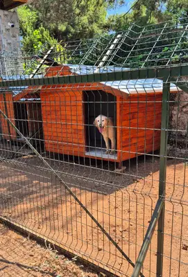 Pancopetpansiyon fotoğrafı