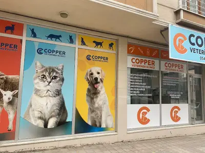 Copper Veteriner Kliniği