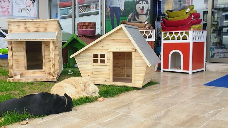 Pati Pet Shop foto 2