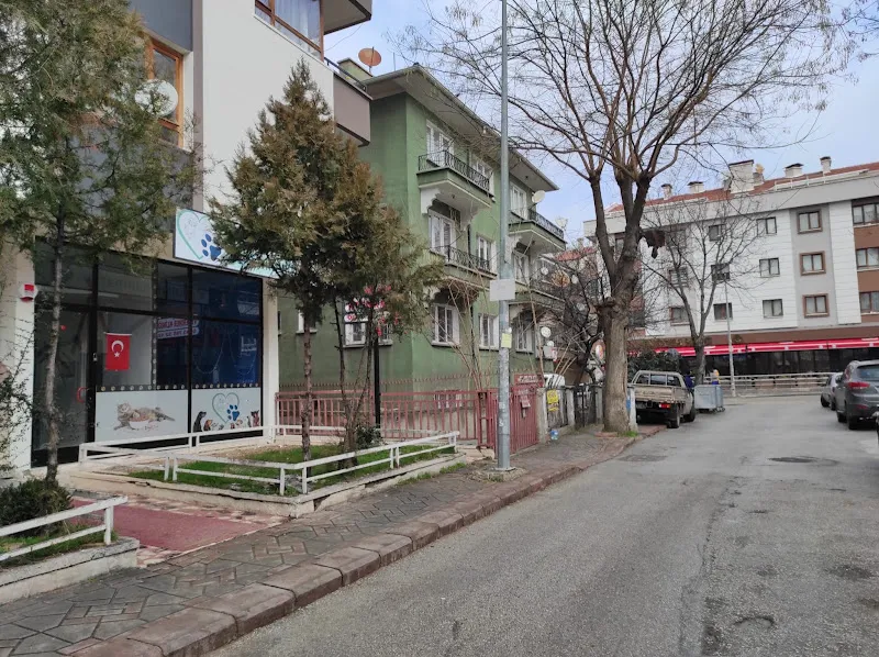 Altınpatiler Veteriner Kliniği foto 2