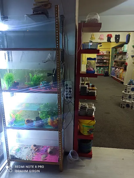 Darling Petshop Denizli foto 2