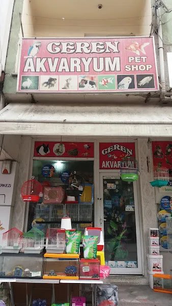 Ceren Akvaryum foto 1