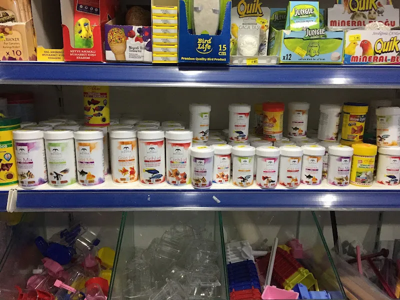 Çatalca Petshop foto 1