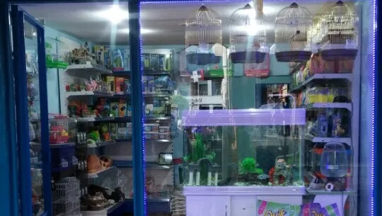 Çatalca Petshop foto 2