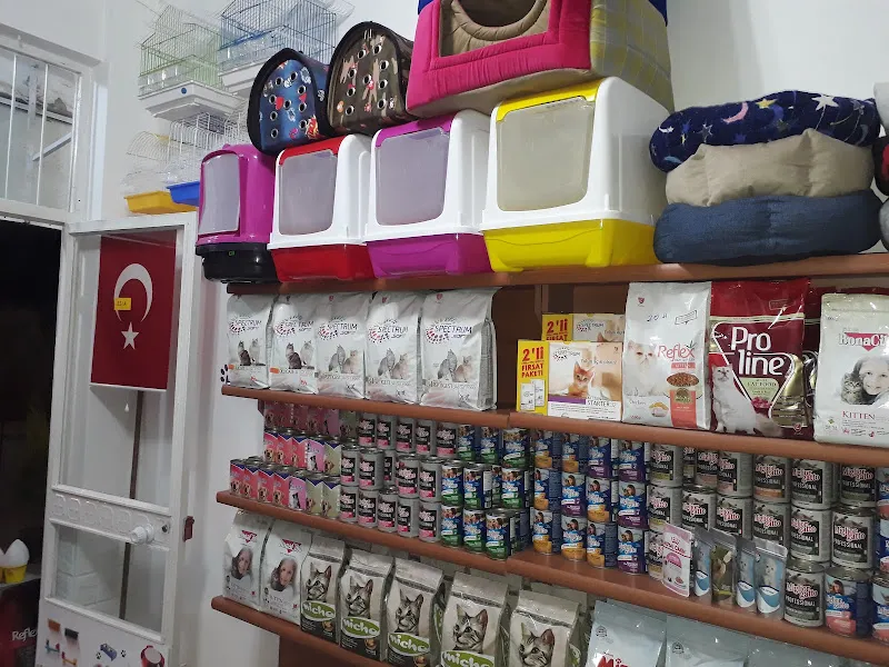 Muradiye Pati Pet Shop foto 2