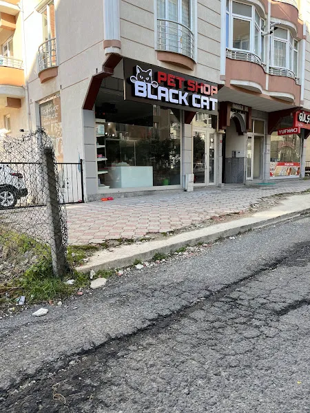Black cat petshop foto 1