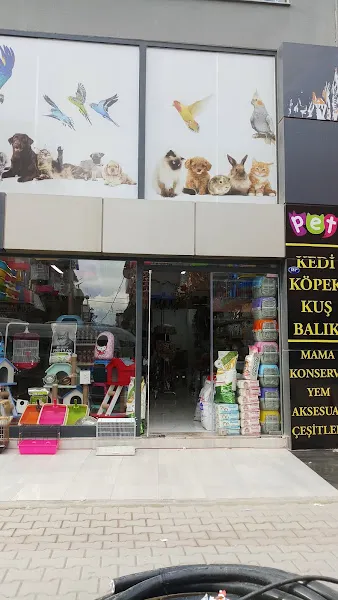 ZEBRA PETSHOP foto 2