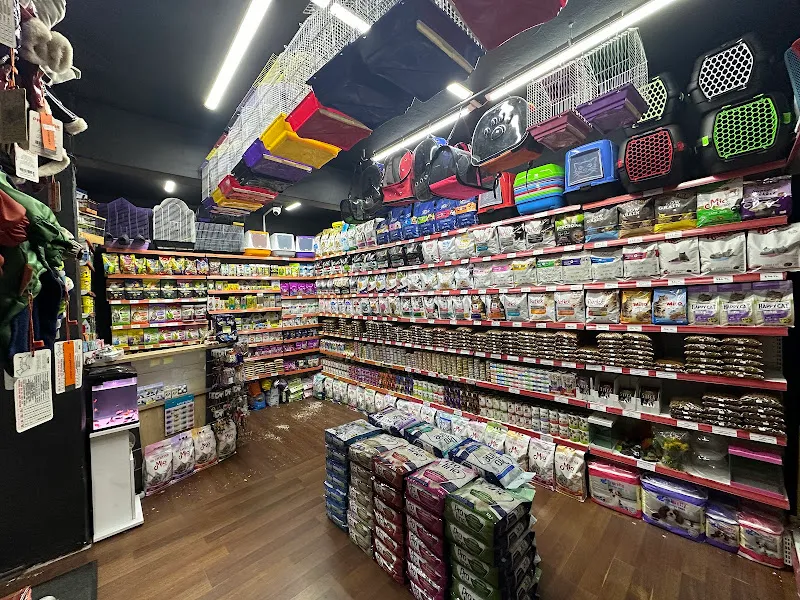 Moi Petshop foto 2