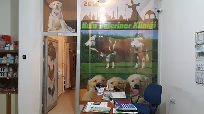 Kulu Veteriner Kliniği