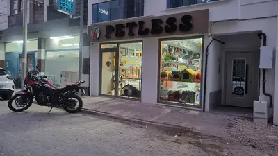 PETLESS