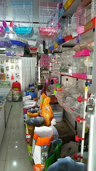 Petshop Kaan ticaret foto 2