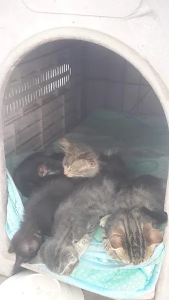 E.T.U Veteriner Kliniği foto 2