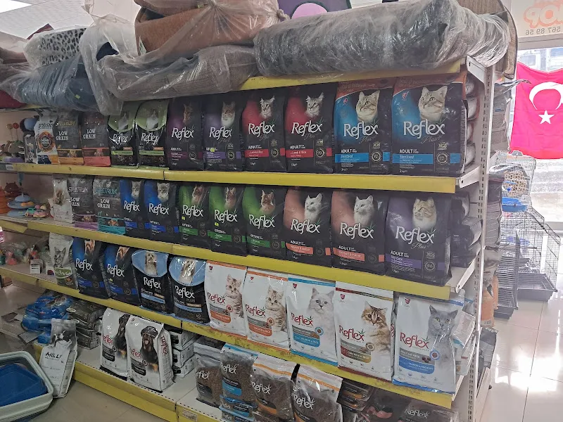 Kemalpaşa Pet Shop foto 2