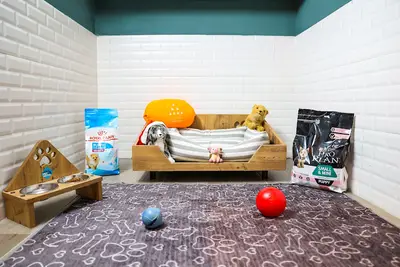 Luxy Pet Hotel fotoğrafı