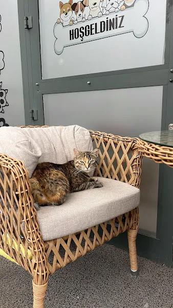 Baran Koser Veteriner Kliniği foto 2