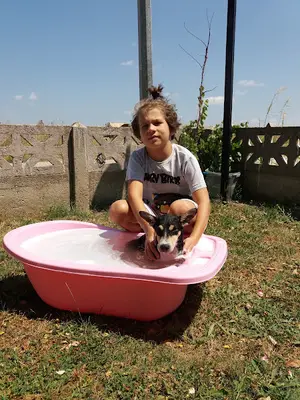 Bilen Veteriner Kiniği