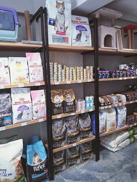 Pati Pets Shop foto 2