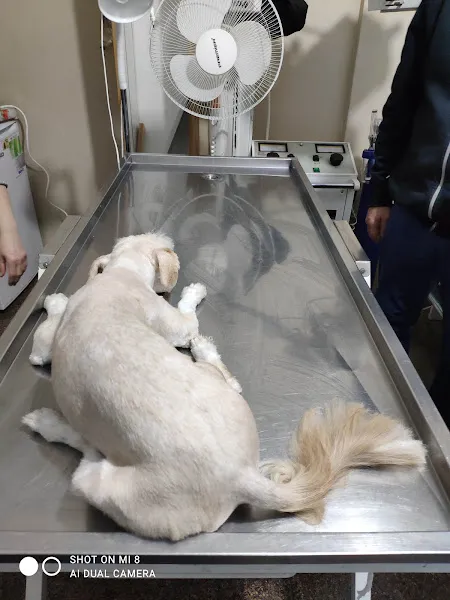 Hi-lal veteriner kliniği foto 2
