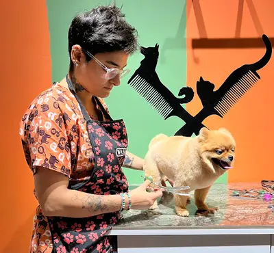Pet Kuaför Yasemin