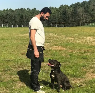 Bodrum Fun Pet Otel ve Köpek Eğitim Merkezi