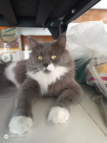 Birlik veteriner kliniği foto 2