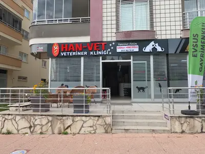 HAN VET veteriner klıniği