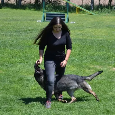 Alanya köpek eğitmeni fotoğrafı