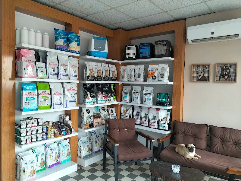 MURAT TAŞDEMİR Yaren Veteriner Kliniği HAVZA foto 2